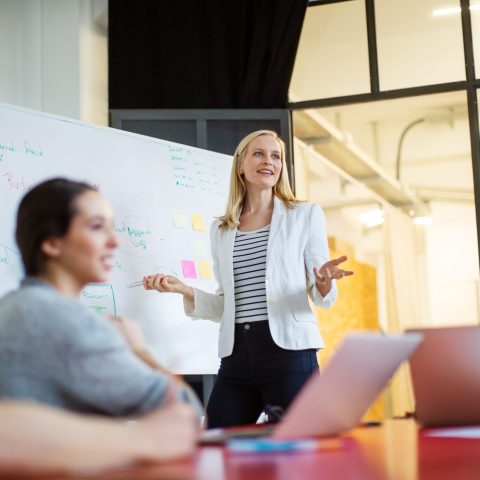 Businesswoman giving presentation on future plans to colleagues Netwerkmeeting - vrouw presenteert aan een groep mensen